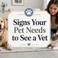 Dog and cat resting with a pet owner in a bright home setting with centered text that says Signs Your Pet Needs to See a Vet.