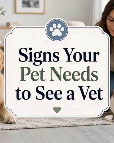 Dog and cat resting with a pet owner in a bright home setting with centered text that says Signs Your Pet Needs to See a Vet.