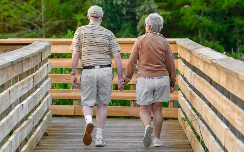 wellbeing in seniors