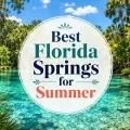Featured image for best Florida springs for summer with clear turquoise spring water, lush palms, and centered title graphic.