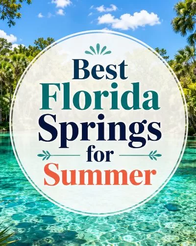 Featured image for best Florida springs for summer with clear turquoise spring water, lush palms, and centered title graphic.