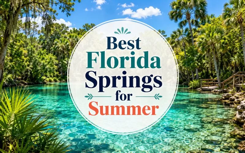Featured image for best Florida springs for summer with clear turquoise spring water, lush palms, and centered title graphic.