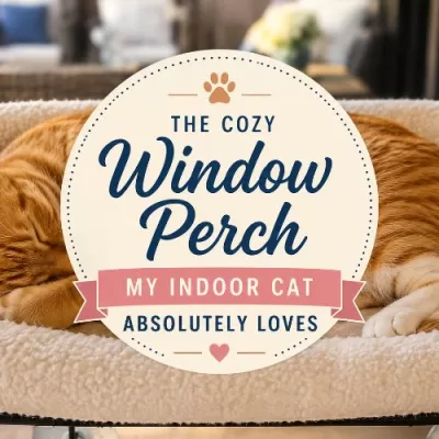 The Cozy Window Perch My Indoor Cat Absolutely Loves