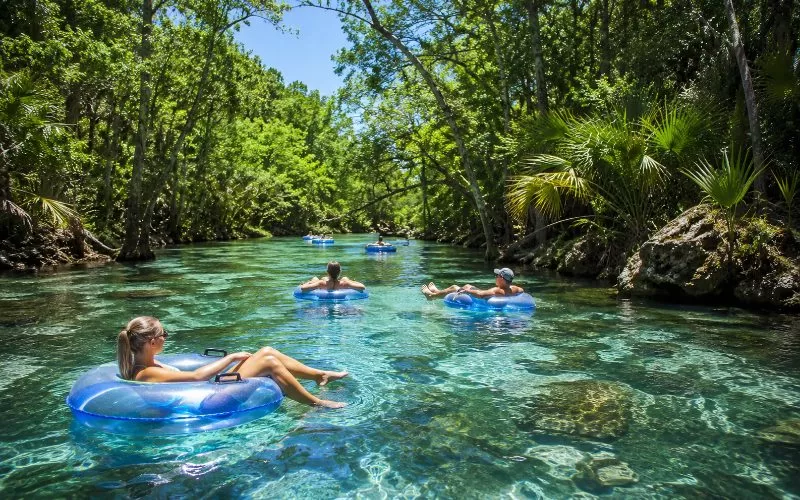 People tubing down the clear spring-fed Ichetucknee River surrounded by lush trees and natural Florida scenery on a sunny summer day.