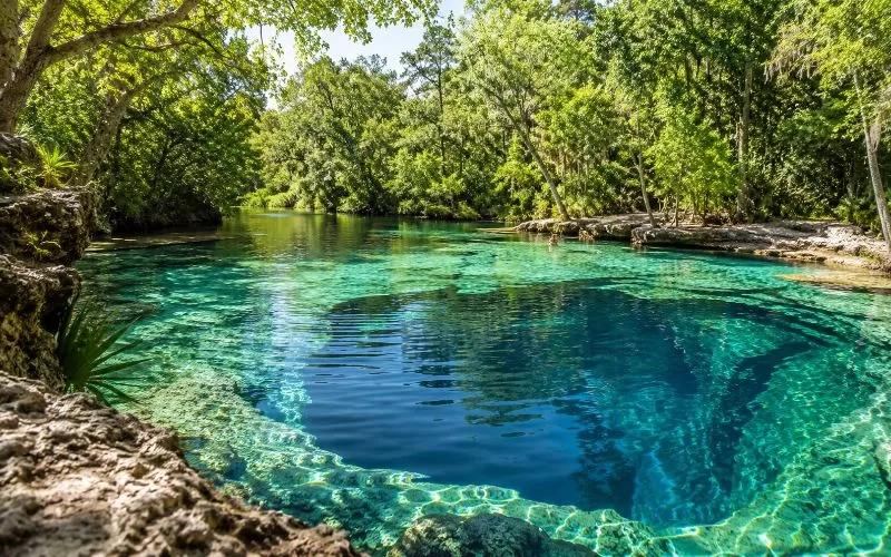 Deep blue swimming hole at Madison Blue Spring surrounded by clear turquoise water, limestone edges, and lush green forest.