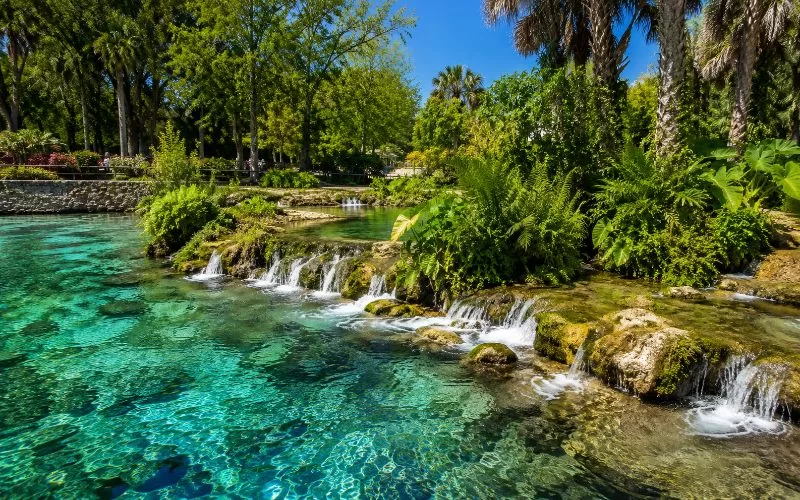Clear turquoise water at Rainbow Springs with small waterfalls, mossy rocks, lush green gardens, and palm trees on a sunny Florida day.