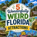 Featured image showcasing five wonderfully weird Florida attractions including Weeki Wachee Springs, Dinosaur World, Monkey Jungle, Fun Spot America, and Gatorland.