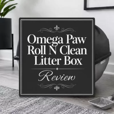Omega Paw Roll N Clean Litter Box Review: Why I Still Prefer It After 5 Years
