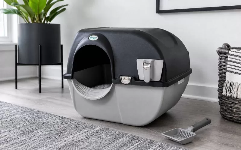 Omega Paw Roll N Clean litter box in a bright gray and white room with a litter scoop nearby.