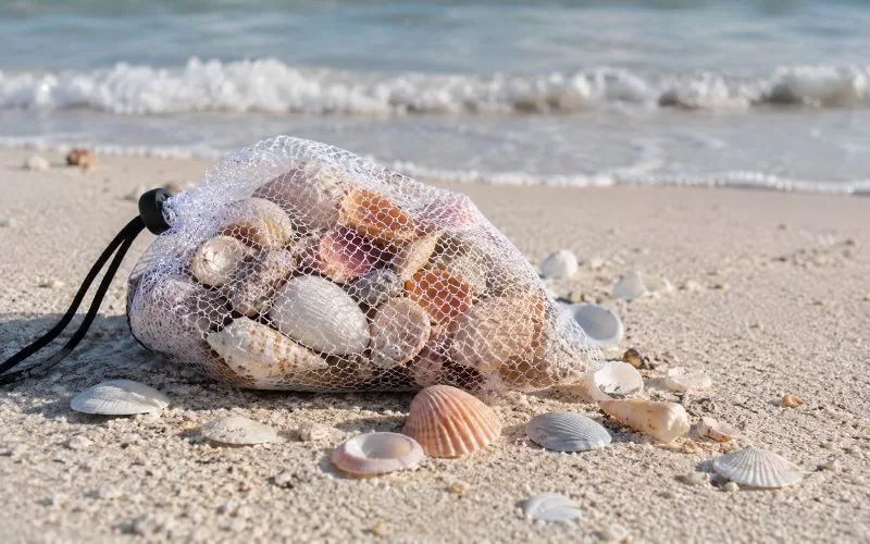 Mesh shell bag filled with seashells resting on pale beach sand near calm Gulf Coast water