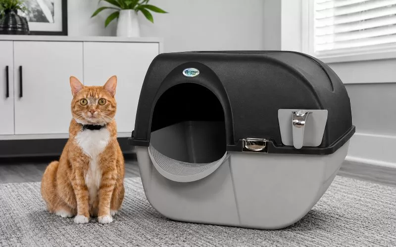 Orange tabby cat sitting beside an Omega Paw Roll N Clean litter box in a modern gray and white room.