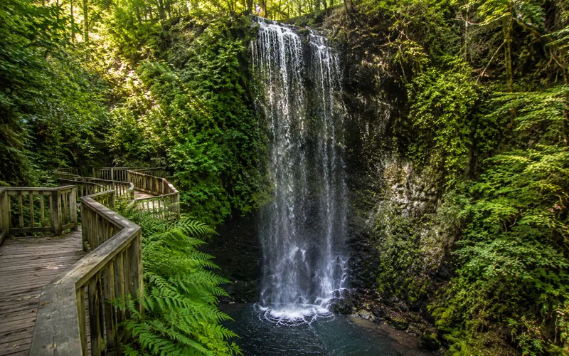 Waterfall dropping into a shaded sinkhole beside a wooden boardwalk in a North Florida forest