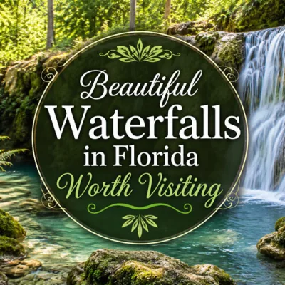 Beautiful waterfall in Florida with lush greenery and article title graphic