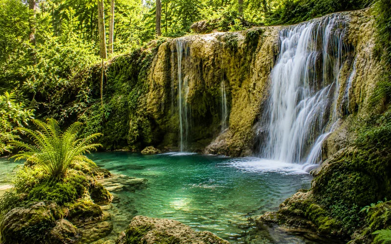 Lush Florida waterfall flowing over limestone rocks into a clear pool surrounded by ferns and greenery