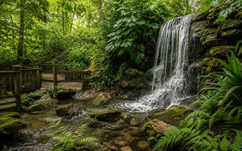 Garden waterfall flowing over mossy rocks beside a wooden walkway surrounded by lush Florida greenery