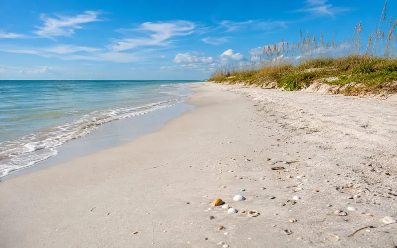 Quiet Florida beach with white sand, turquoise water, sea oats, and seashells along the shoreline