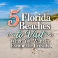 Quiet Florida beach with text reading “5 Florida Beaches to Visit When You Want to Escape the Crowds.”