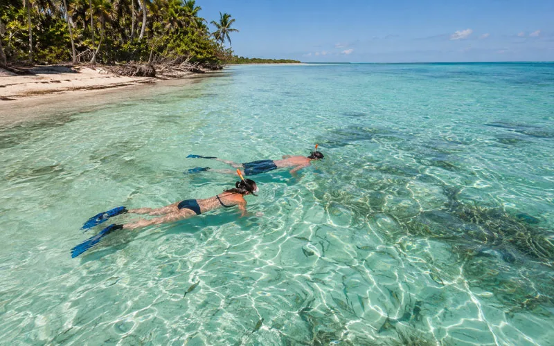 Two adults snorkeling in shallow clear turquoise water near a tropical Florida shoreline.