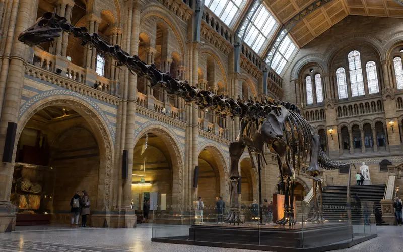Dinosaur skeleton displayed inside a grand natural history museum hall